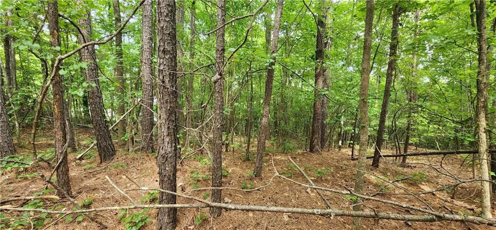 0000 Rabbit Farm Road Loganville, GA 30052