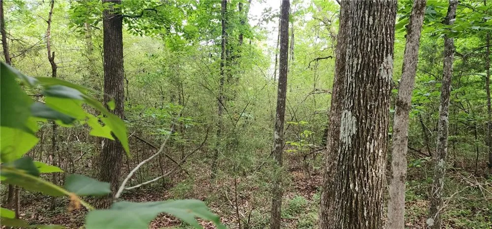 0000 Rabbit Farm Road Loganville, GA 30052