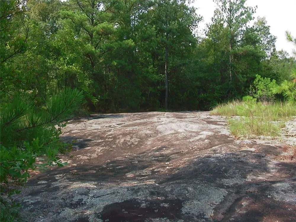 0000 Rabbit Farm Road Loganville, GA 30052