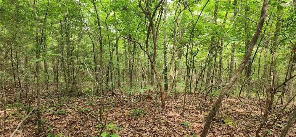 0000 Rabbit Farm Road Loganville, GA 30052