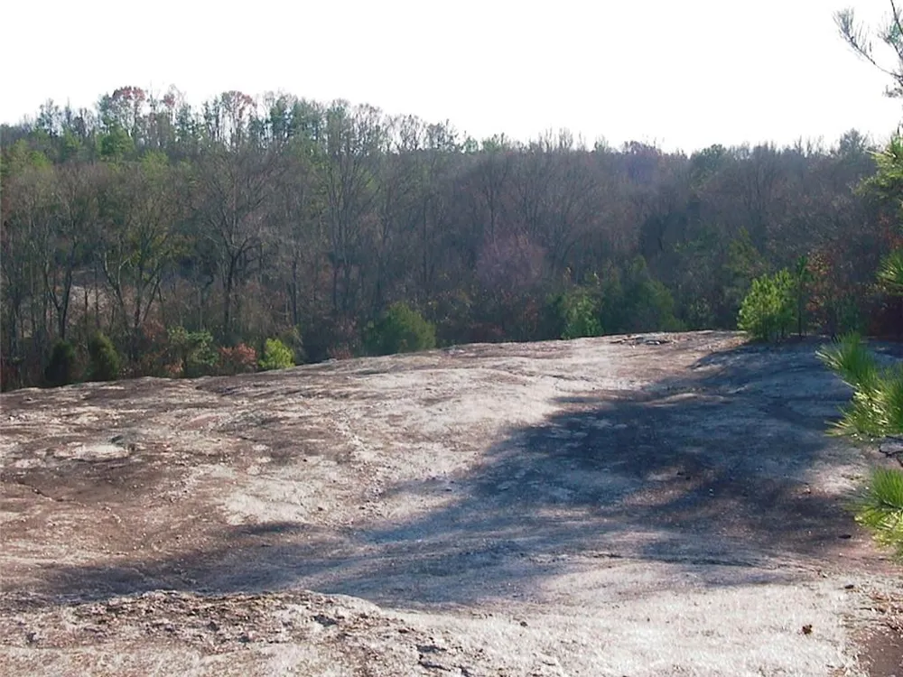 0000 Rabbit Farm Road Loganville, GA 30052