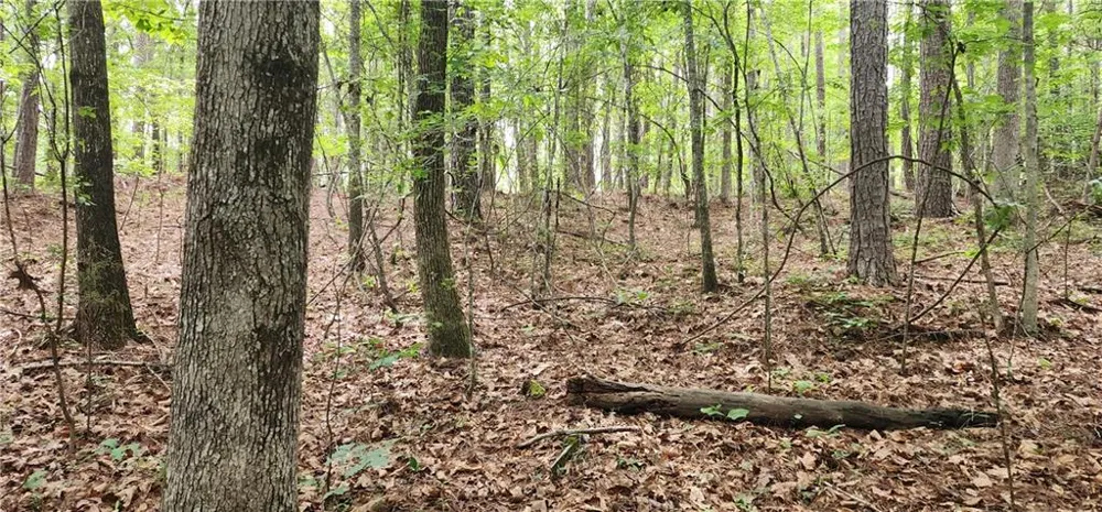 0000 Rabbit Farm Road Loganville, GA 30052