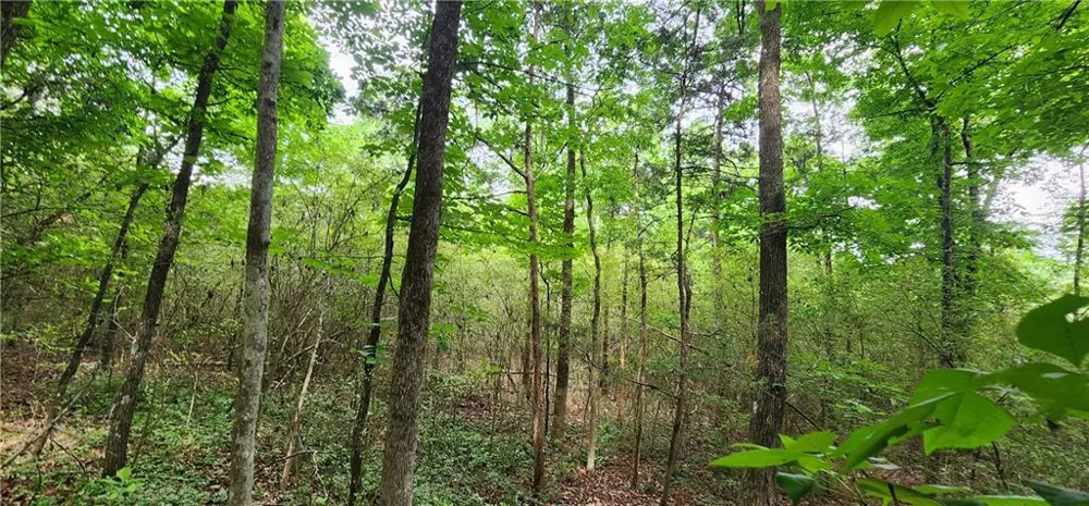 0000 Rabbit Farm Road Loganville, GA 30052