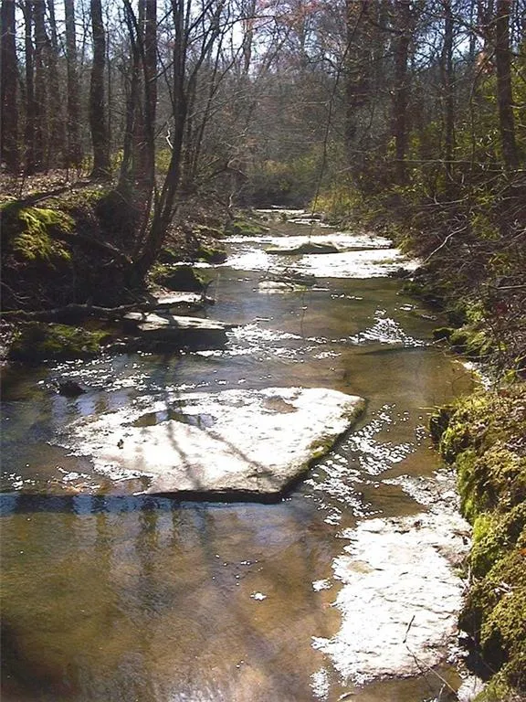 0000 Rabbit Farm Road Loganville, GA 30052