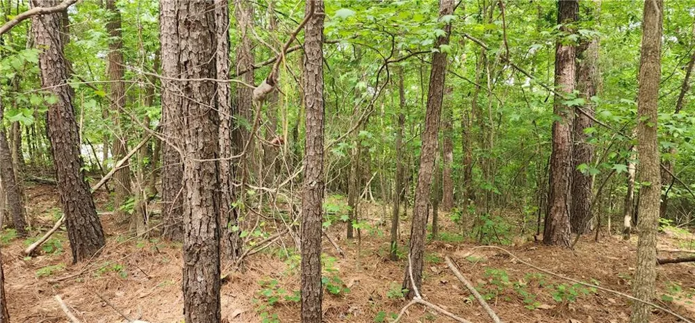 0000 Rabbit Farm Road Loganville, GA 30052