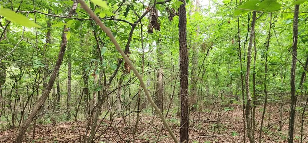 0000 Rabbit Farm Road Loganville, GA 30052