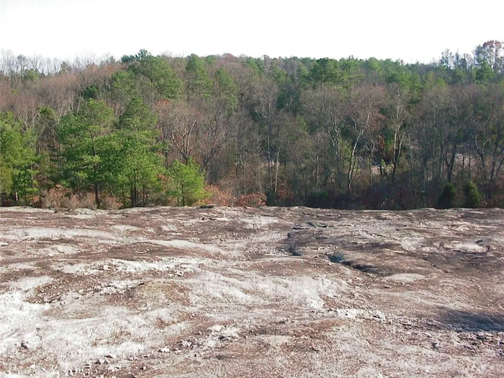 0000 Rabbit Farm Road Loganville, GA 30052