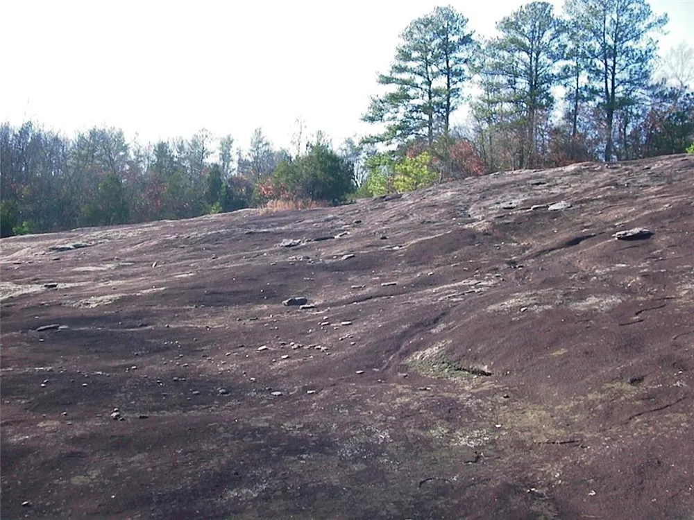 0000 Rabbit Farm Road Loganville, GA 30052