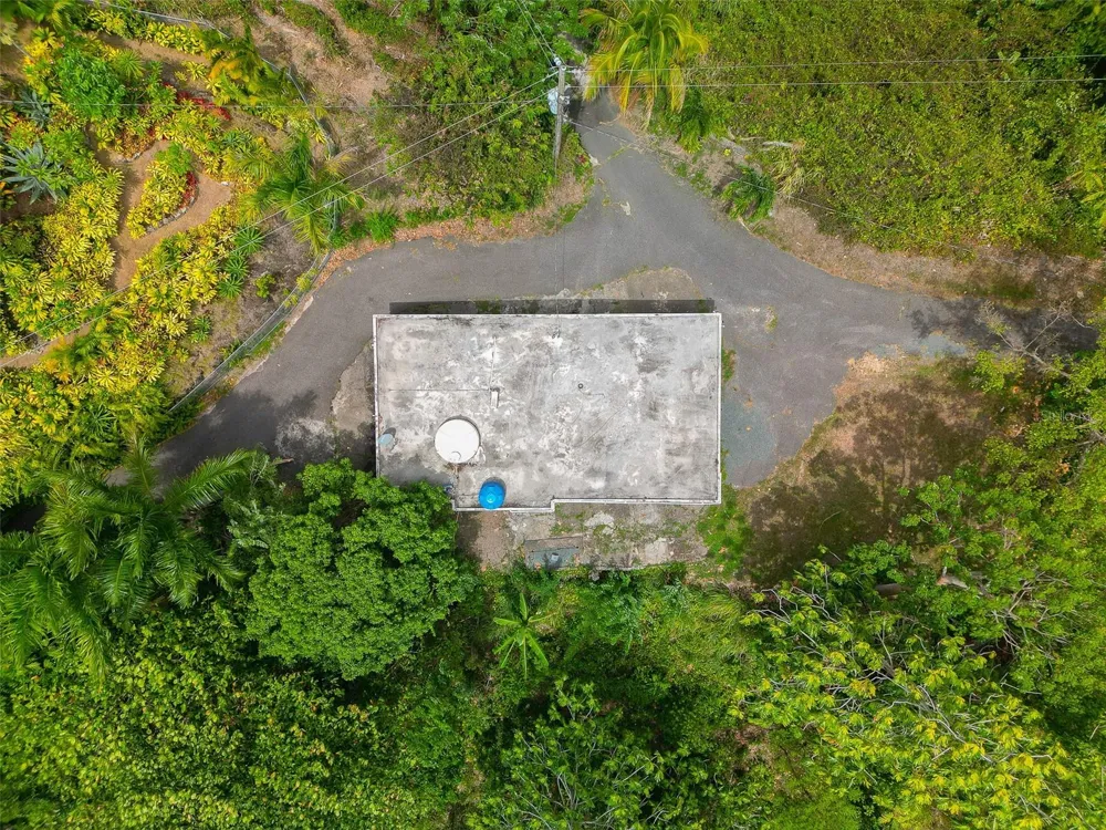 Address Not Shown Ciales, PR 00638