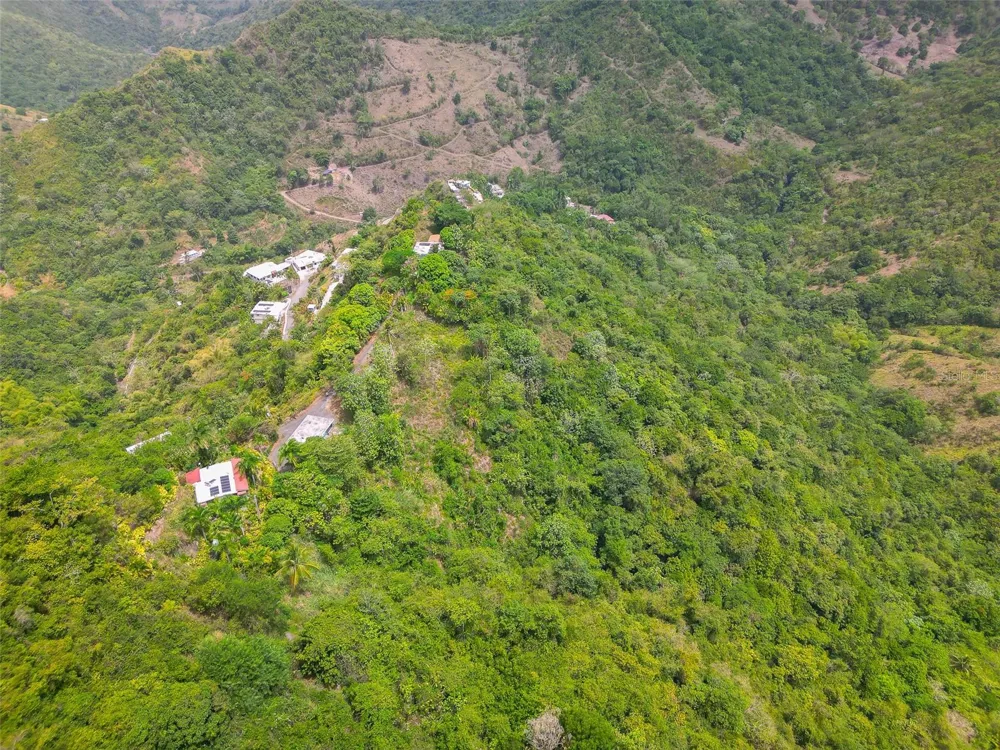 Address Not Shown Ciales, PR 00638