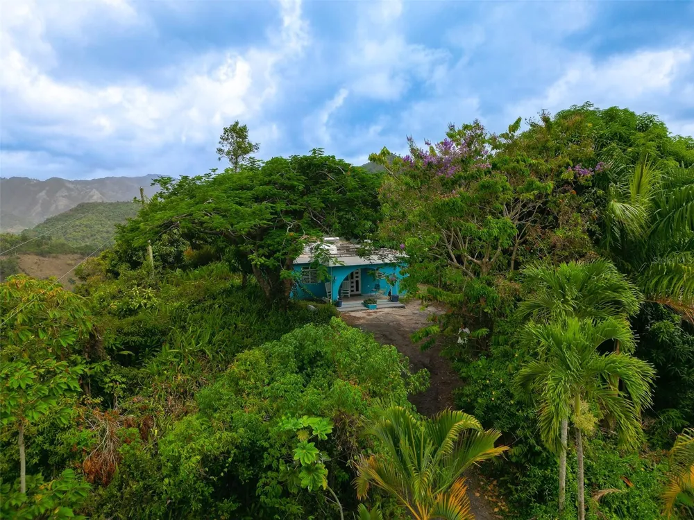 Address Not Shown Ciales, PR 00638