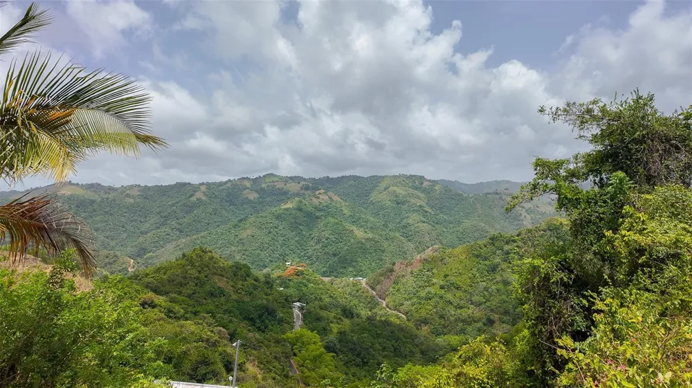 Address Not Shown Ciales, PR 00638