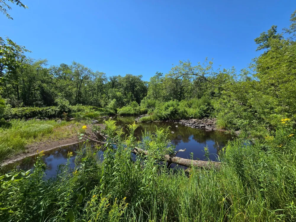 TBD 188th Place McGrath, MN 56350