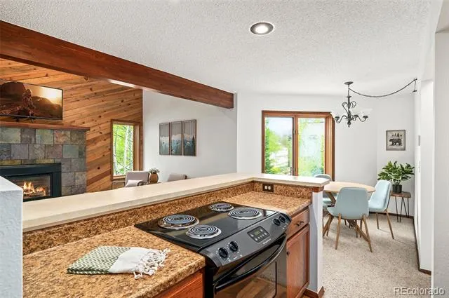 370 Forest Trail #D Winter Park, CO 80482