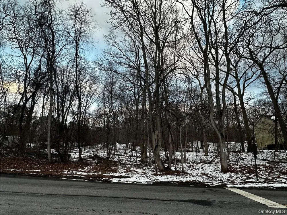 W Bartlett Road Middle Island, NY 11953