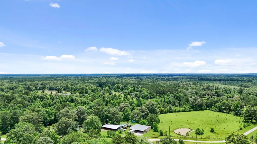 203 Chipmunk Trail Shepherd, TX 77371
