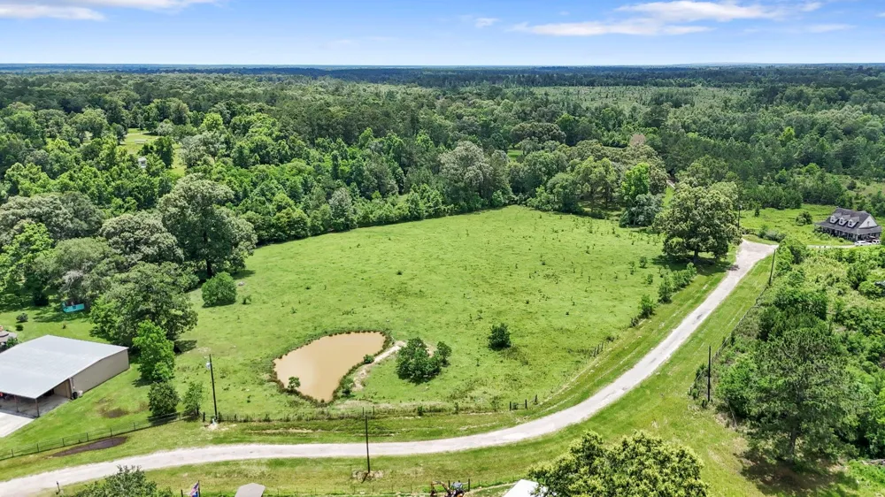 203 Chipmunk Trail Shepherd, TX 77371