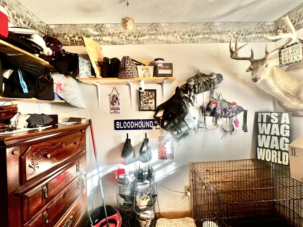 3979 W Bacon Road Hillsdale, MI 49242