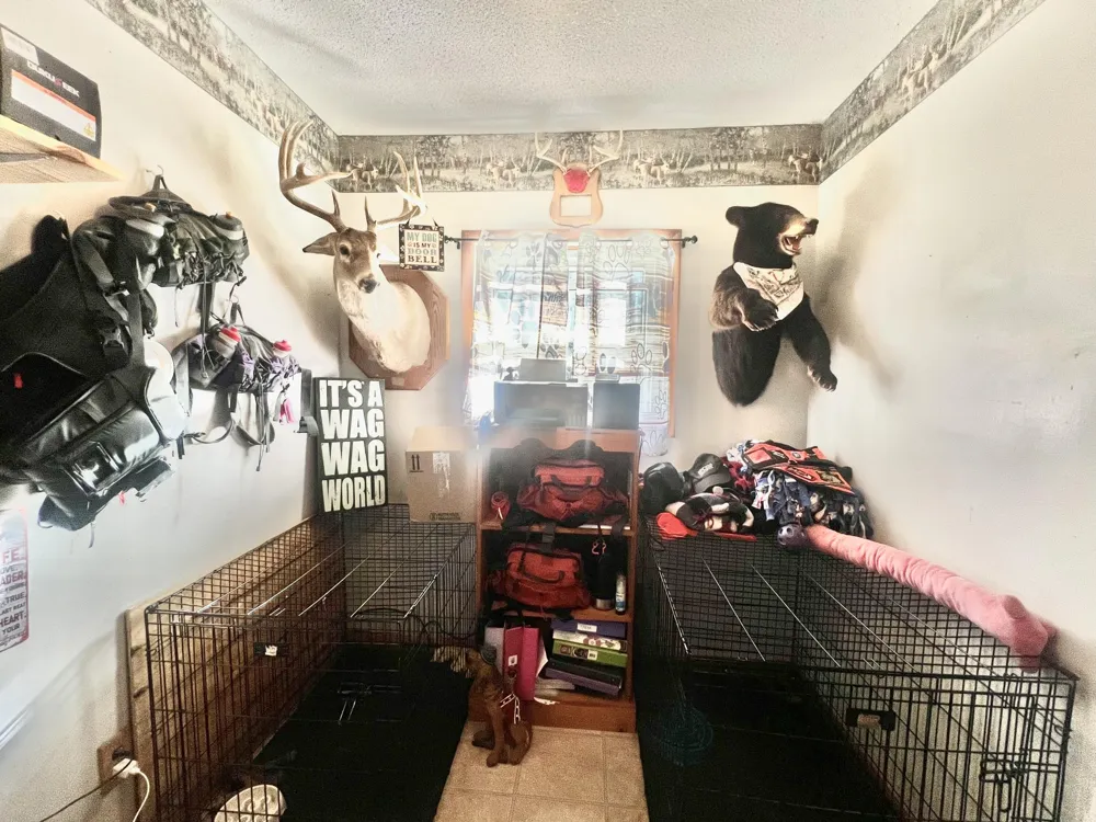 3979 W Bacon Road Hillsdale, MI 49242
