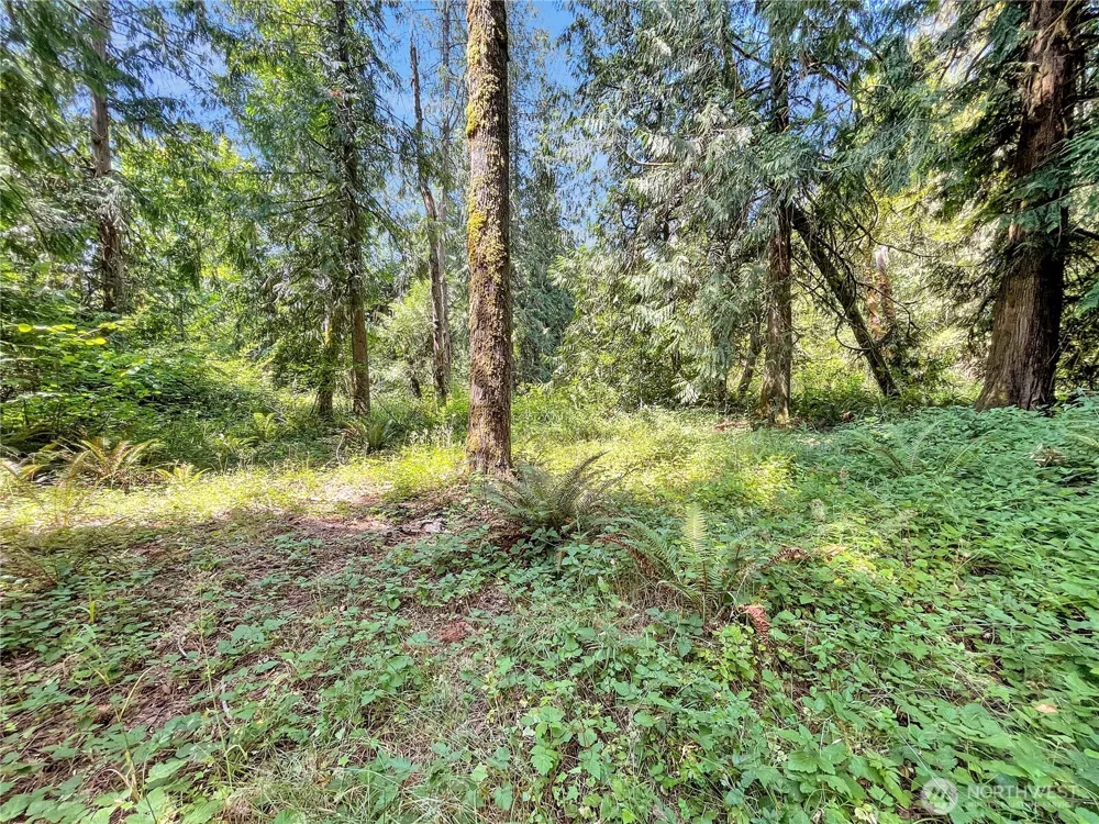 0 On Rush Road Napavine, WA 98532