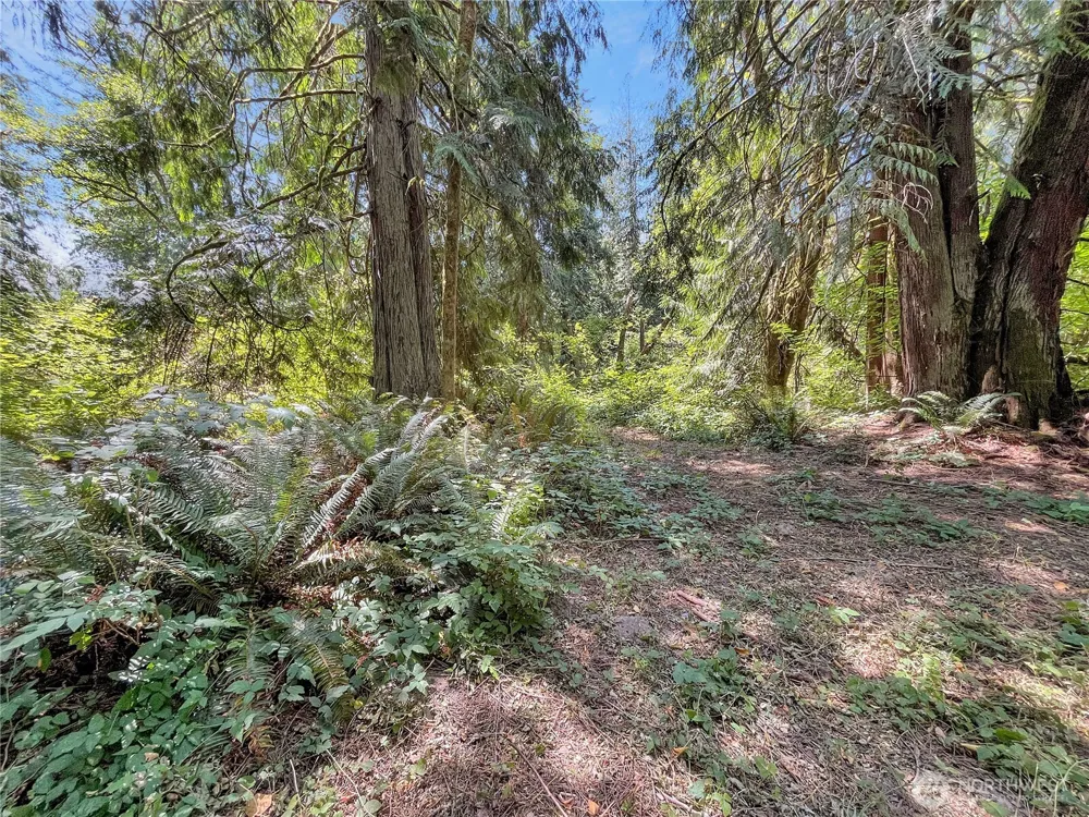 0 On Rush Road Napavine, WA 98532