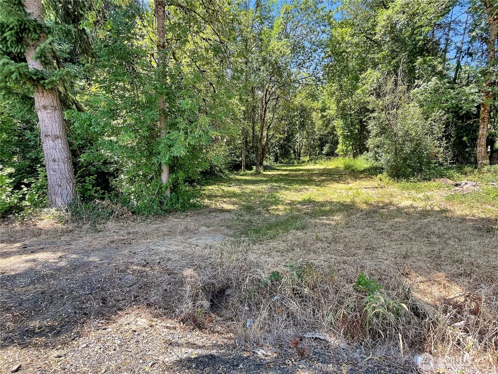 0 On Rush Road Napavine, WA 98532
