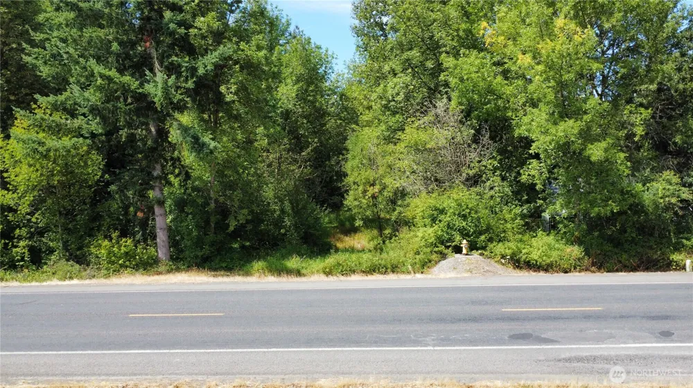 0 On Rush Road Napavine, WA 98532