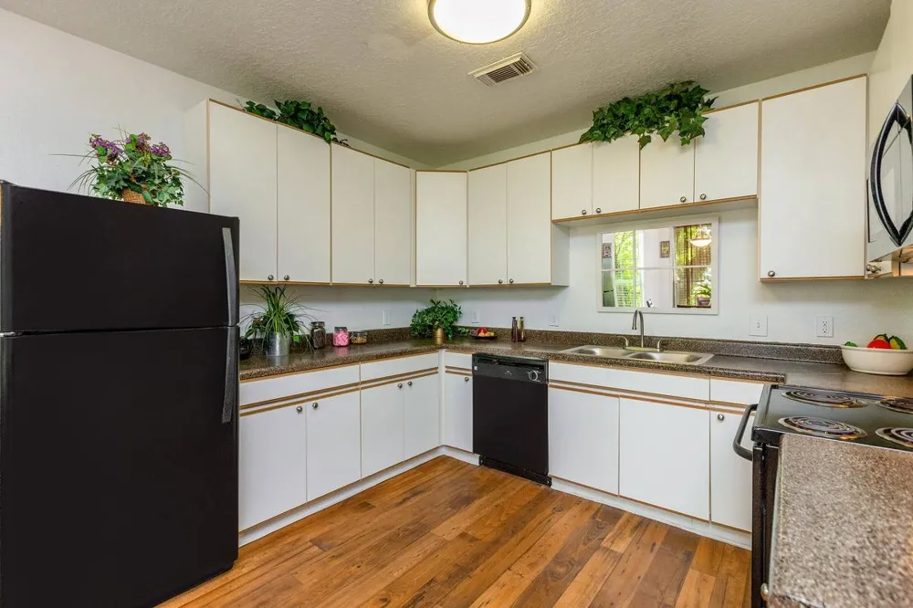 301 W Little York Road #430 Houston, TX 77076