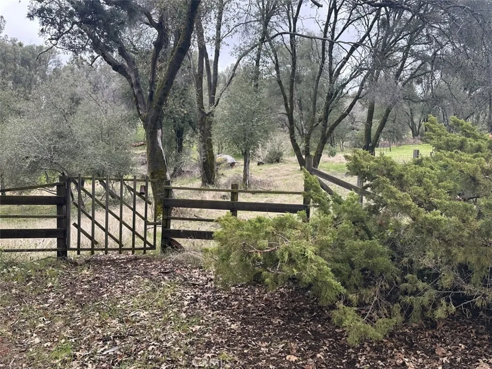 50330 Road 426 Oakhurst, CA 93644