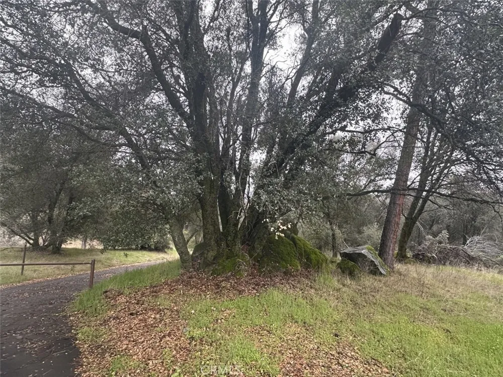 50330 Road 426 Oakhurst, CA 93644