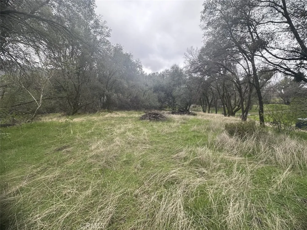 50330 Road 426 Oakhurst, CA 93644