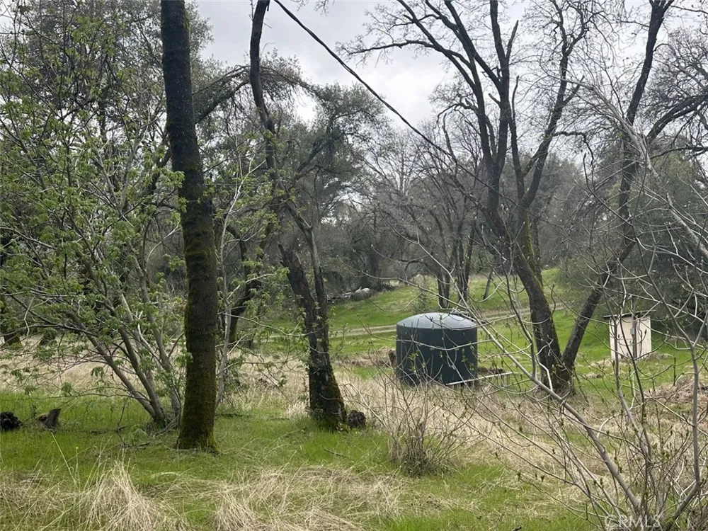 50330 Road 426 Oakhurst, CA 93644