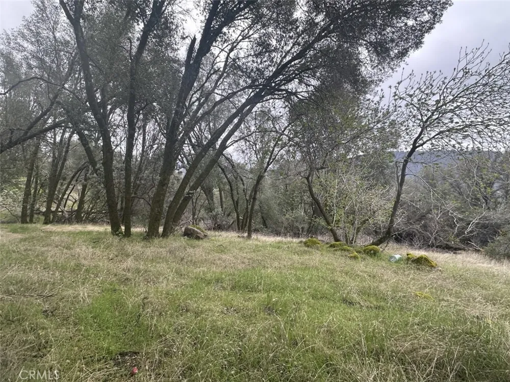 50330 Road 426 Oakhurst, CA 93644
