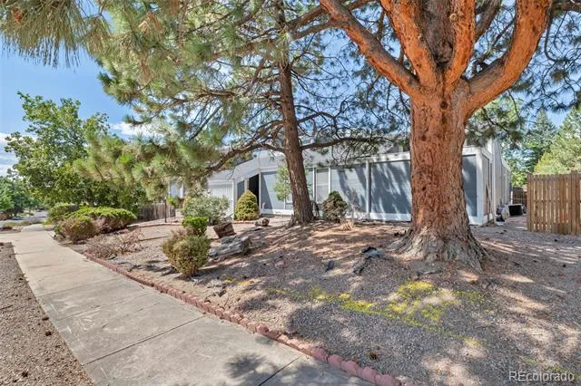 8319 Webster Street Arvada, CO 80003