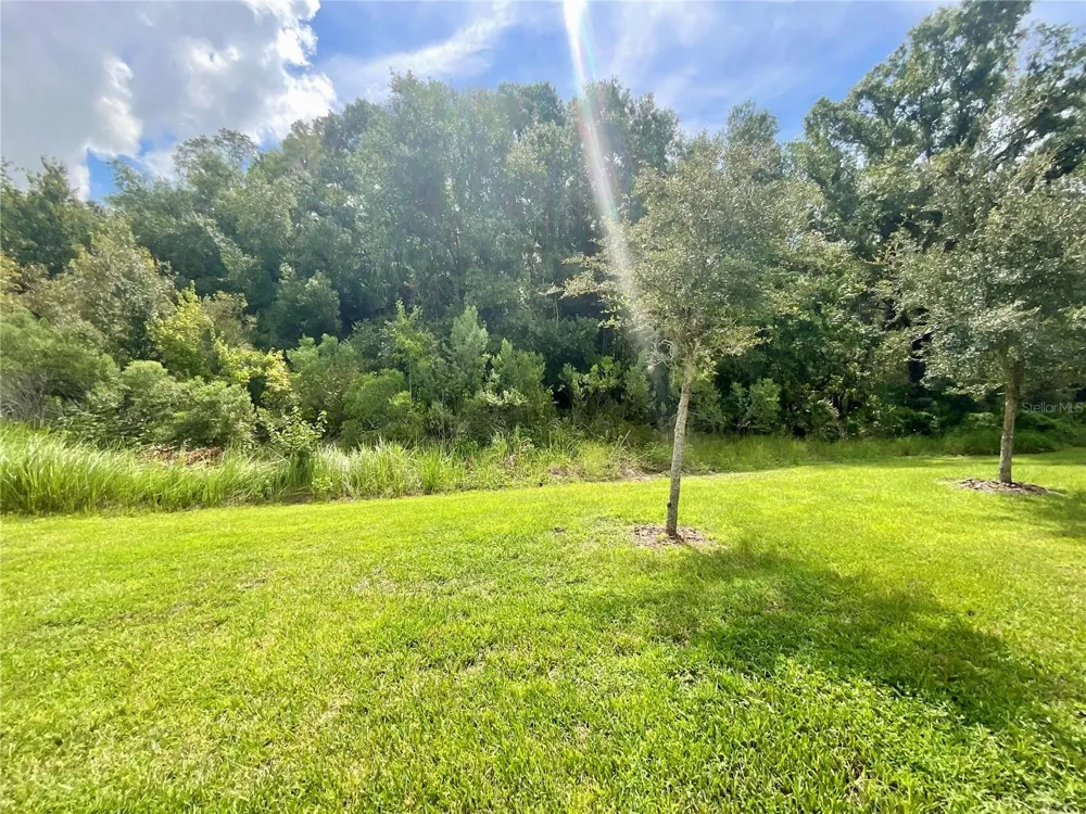 1720 HUBBELL ROAD Wesley Chapel, FL 33543