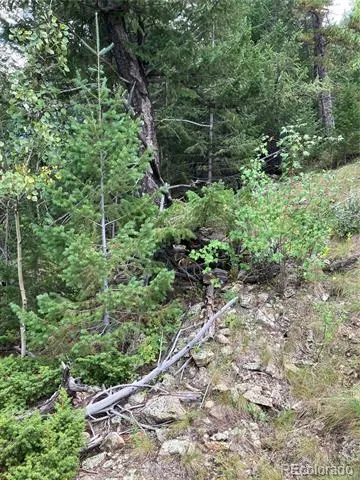 7 Miners Road Black Hawk, CO 80422