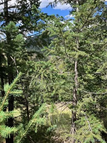 7 Miners Road Black Hawk, CO 80422