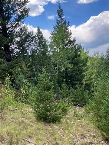 7 Miners Road Black Hawk, CO 80422