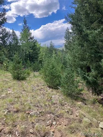7 Miners Road Black Hawk, CO 80422
