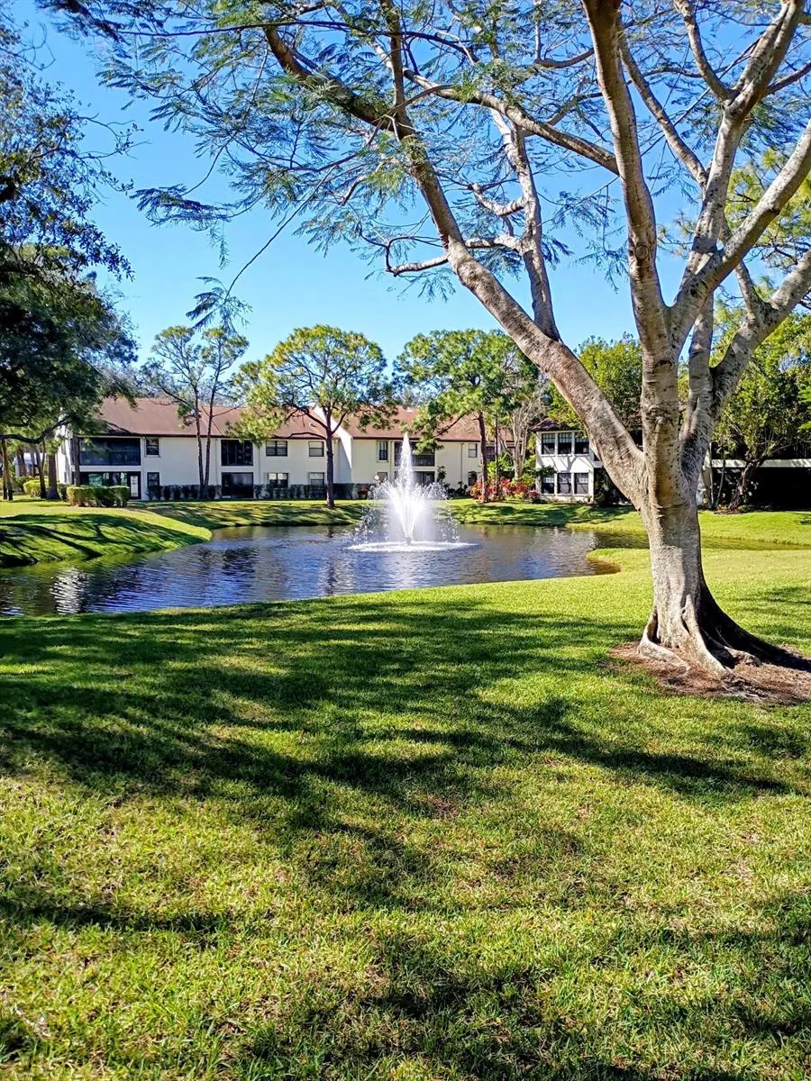 3451 Jog Park Drive 