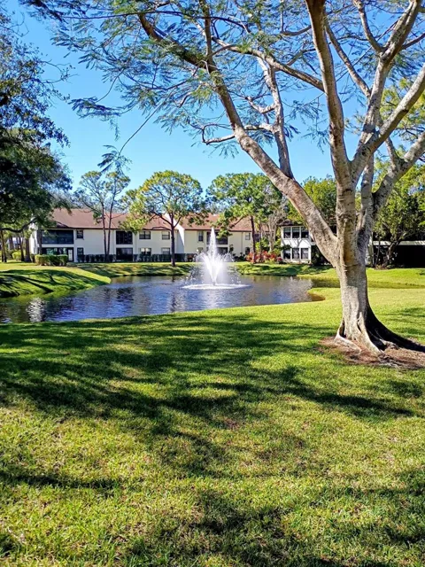 3451 Jog Park Drive