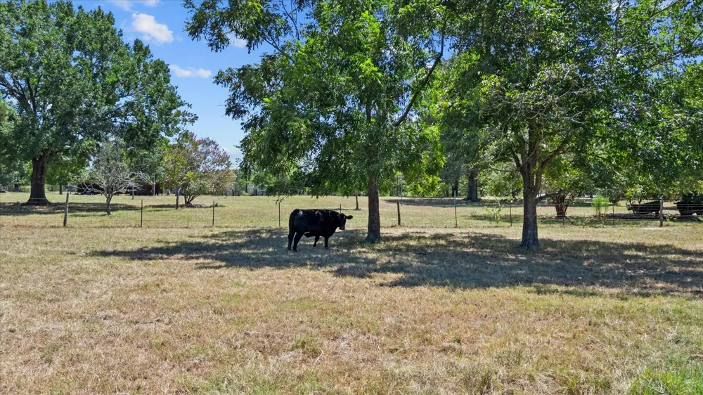 7747 Cattle Trail Road Midway, TX 75852
