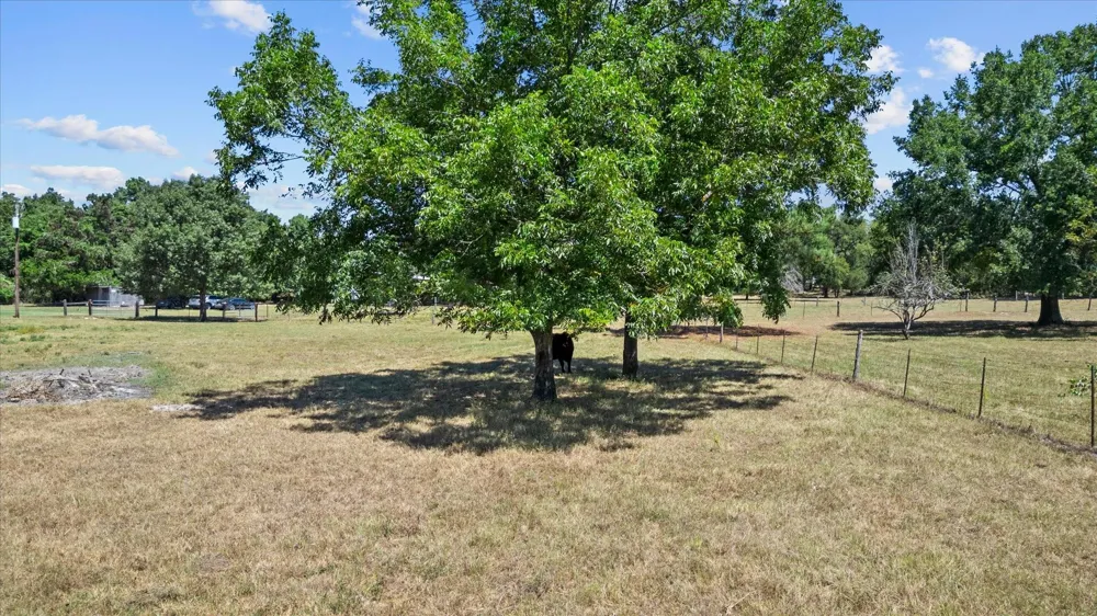 7747 Cattle Trail Road Midway, TX 75852
