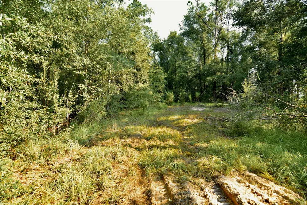 00 SW 39TH AVE Jasper, FL 32052