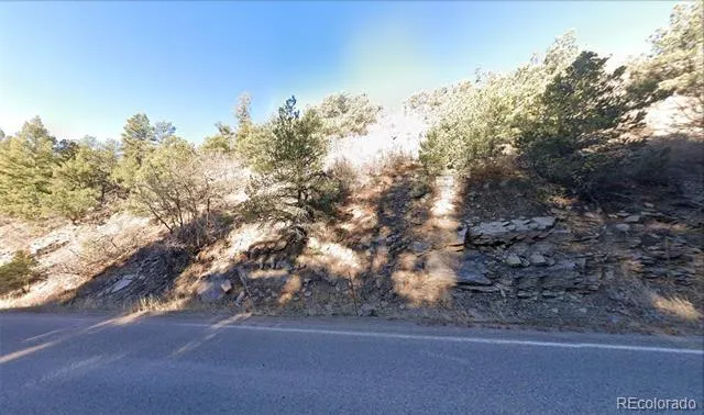 690 Pine Vista Canon City, CO 81212