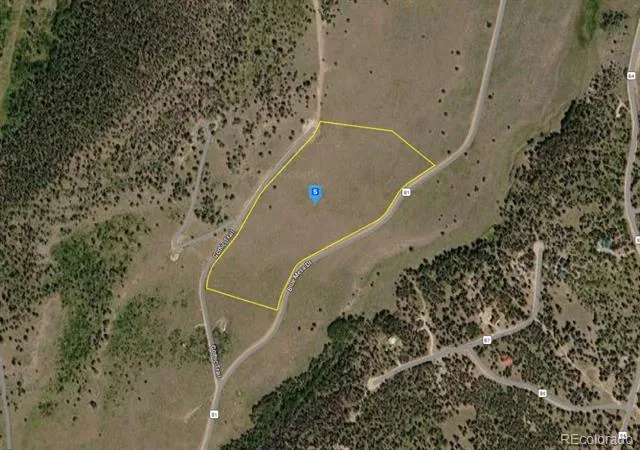 220 Gothic Trail Powderhorn, CO 81243