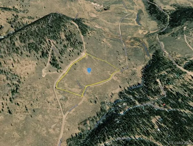 220 Gothic Trail Powderhorn, CO 81243
