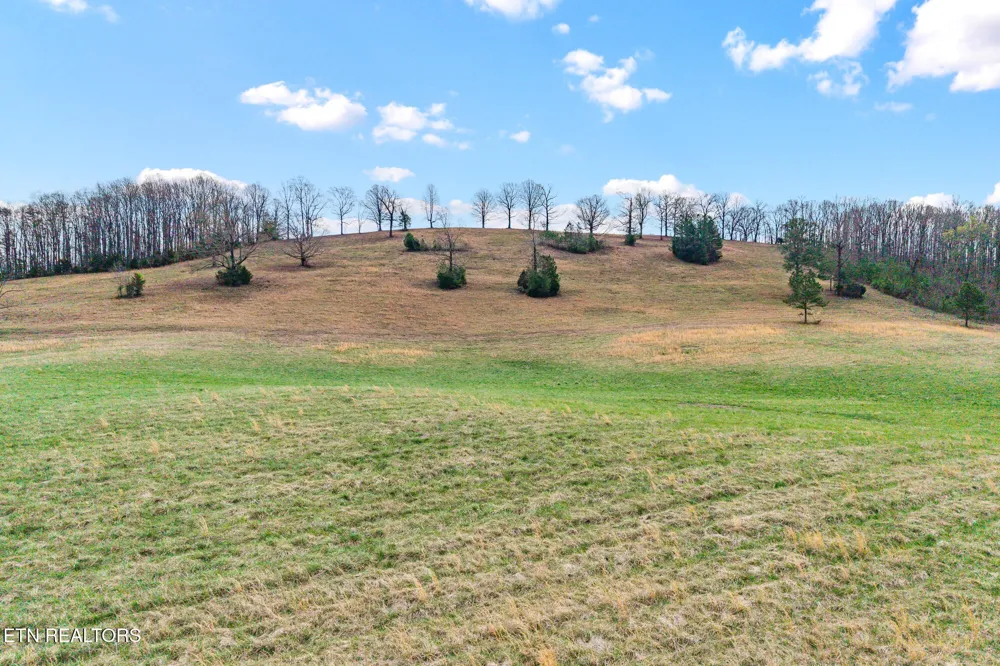 11 N Nopone Valley Rd Decatur, TN 37322