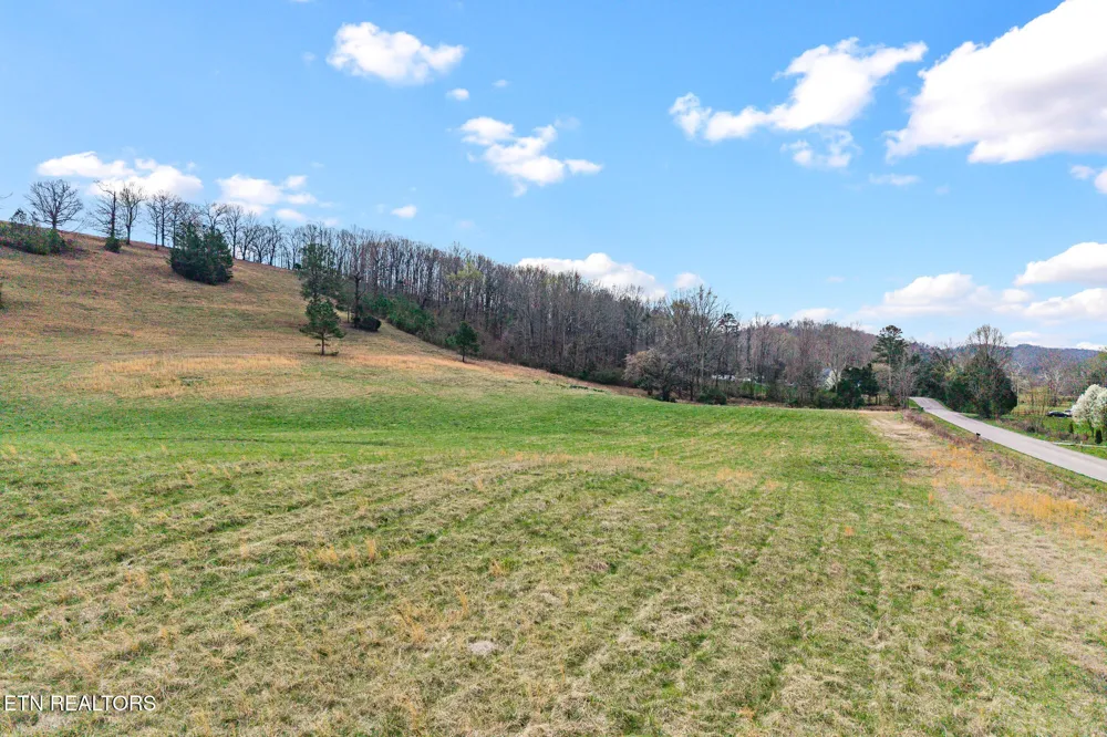 11 N Nopone Valley Rd Decatur, TN 37322