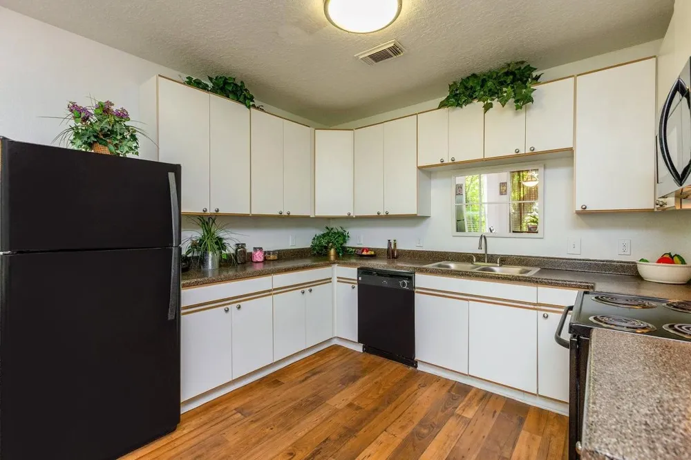 301 W Little York Road #722 Houston, TX 77076